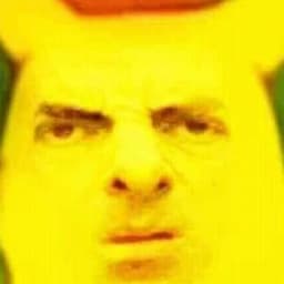 polvo