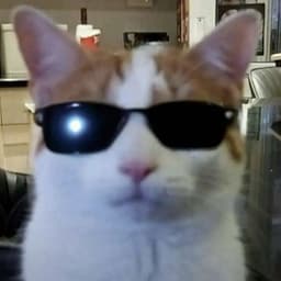 J0gge_