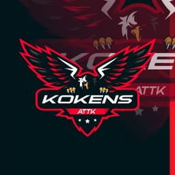 Kokens