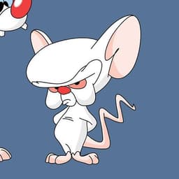 cerebro----D