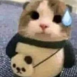 _vang