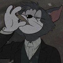 pooloop