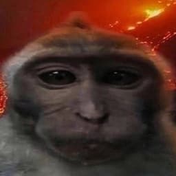 poltosikkk