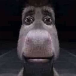 FipiLipi91