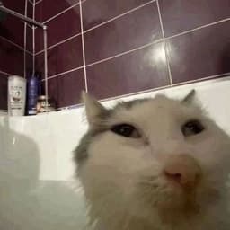 poqiehd