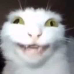 CybeRasS