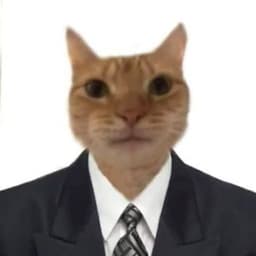 Mr_Kak1sh