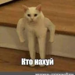 _Twinkkk_