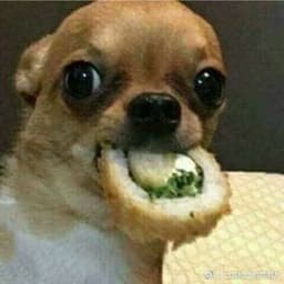 OnIer