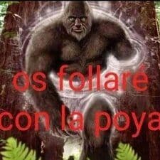 chom32_