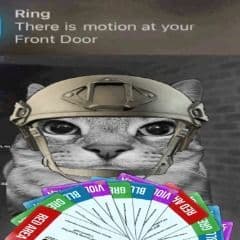 Raa
