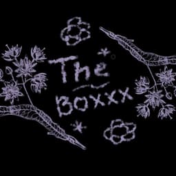 The_BOX_007