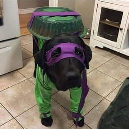 s4muk4ziK
