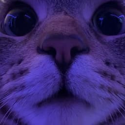 Simpvert