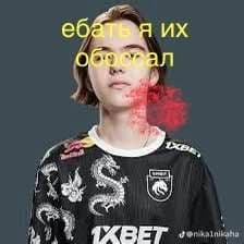 w3666