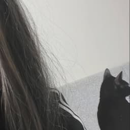 c0rvee