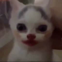 dayvancowb0y