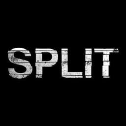 SpLL1T