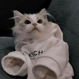 qwqwxxx