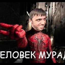 brovkvxx
