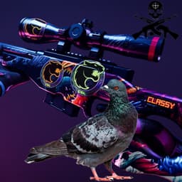 POMBINHO_041