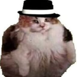 _MEXr