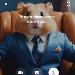 mikulichBOSS