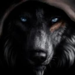 _Shadow_wolf