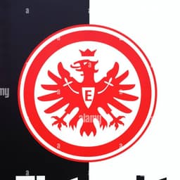 FugasY