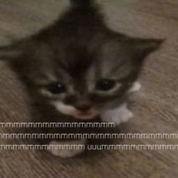 Fralineliamh