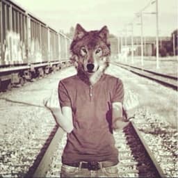 wafsasd