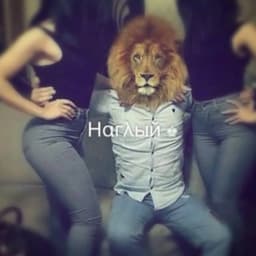 FEEENNDDIIII