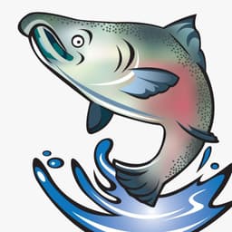 SmallSalmon