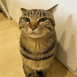 mentossL