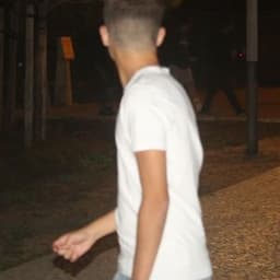 Fernandesz10
