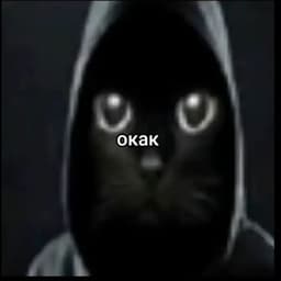 ReallyMahboi