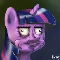 Poni_NAX