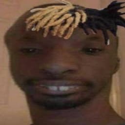 _fli1x_