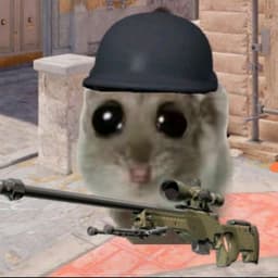nairam_csgo
