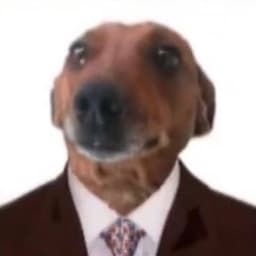 P0tto