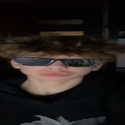 insejniklol