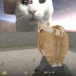 Lao_Lv