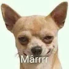 BarbaNeagr0