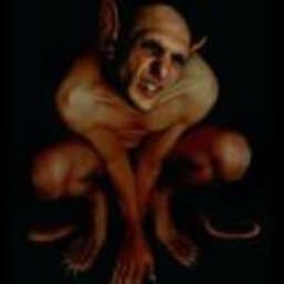 sewerratt