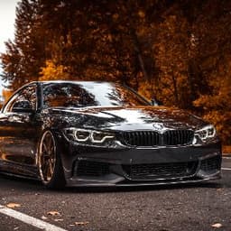 chizaz_228