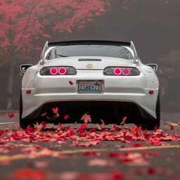 CS__Foster__
