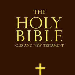 TheHolyBibel