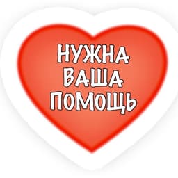 blyadun5