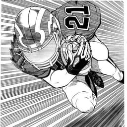 eyessshield