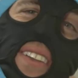 Insspector